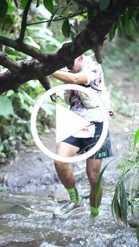 BIB:  <button type="button" onclick="openModal(27824500)" class="btn btn-primary btn-sm float-right" data-toggle="modal" data-target=".modal-high-quality">
                <i class="fa fa-download"></i> Download
                </button>